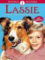 Watch Lassie: A New Beginning Nowvideo