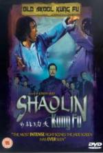 Watch Shao Lin zhen gong fu Nowvideo