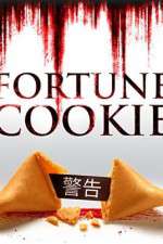 Watch Fortune Cookie Nowvideo