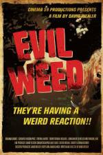 Watch Evil Weed Nowvideo