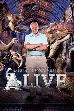 Watch David Attenborough\'s Natural History Museum Alive Nowvideo