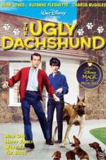Watch The Ugly Dachshund Nowvideo