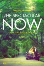 Watch The Spectacular Now Nowvideo