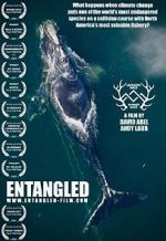 Watch Entangled: The Race to Save Right Whales from Extinction Nowvideo