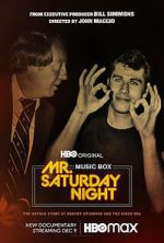Watch Mr. Saturday Night Nowvideo