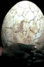 Watch Attenborough And The Giant Egg Nowvideo