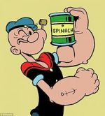 Watch Popeye the Sailor Nowvideo