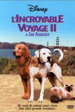Watch Homeward Bound II Lost in San Francisco Nowvideo
