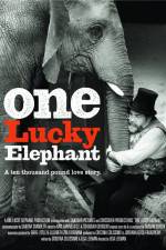 Watch En lycklig elefant Nowvideo