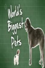 Watch World's Biggest Pets Nowvideo