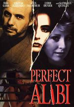 Watch Perfect Alibi Nowvideo