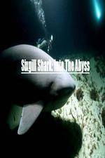 Watch National Geographic Wild Sixgill Shark Into The Abyss Nowvideo