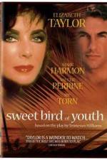 Watch Sweet Bird of Youth Nowvideo