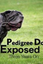 Watch Pedigree Dogs Exposed, Three Years On Nowvideo