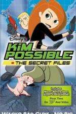 Watch "Kim Possible" Attack of the Killer Bebes Nowvideo