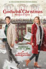 Watch A Godwink Christmas: Miracle of Love Nowvideo