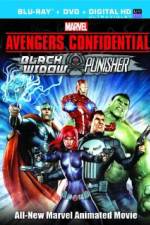 Watch Avengers Confidential: Black Widow & Punisher Nowvideo