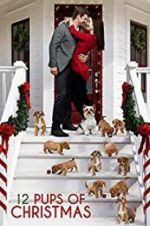 Watch 12 Pups of Christmas Nowvideo