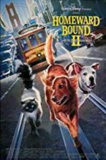 Watch Homeward Bound II: Lost in San Francisco Nowvideo