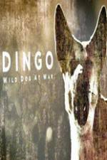 Watch Dingo Wild Dog at War Nowvideo