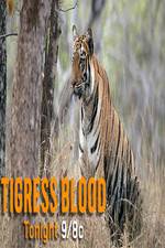 Watch Discovery Channel-Tigress Blood Nowvideo