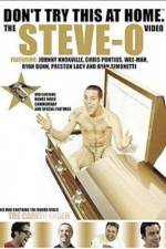 Watch Don't Try This at Home The Steve-O Video Nowvideo