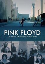 Watch Pink Floyd: The Story of Wish You Were Here Nowvideo