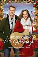 Watch A Homecoming for the Holidays Nowvideo