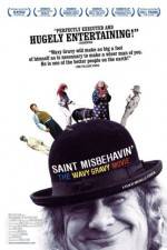 Watch Saint Misbehavin' The Wavy Gravy Movie Nowvideo