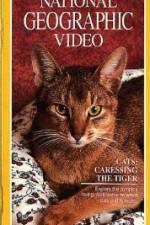 Watch Cats Caressing the Tiger Nowvideo