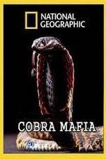 Watch National Geographic Cobra Mafia Nowvideo