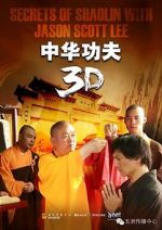 Watch Secrets of Shaolin with Jason Scott Lee Nowvideo
