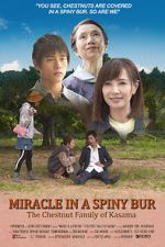 Watch Miracle in Kasama Nowvideo