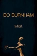 Watch Bo Burnham: what. Nowvideo