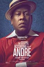 Watch The Gospel According to Andr Megashare8