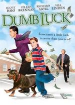 Watch Dumb Luck Nowvideo