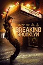 Watch Breaking Brooklyn Nowvideo