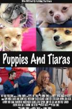 Watch Puppies and Tiaras Nowvideo