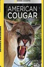 Watch National Geographic - American Cougar Nowvideo