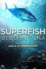 Watch Superfish Bluefin Tuna Nowvideo