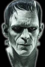 Watch Frankenstein Birth of a Monster Nowvideo