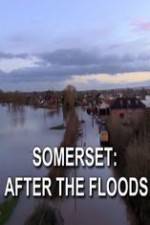 Watch Somerset: After the Floods Nowvideo