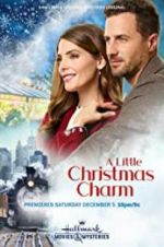 Watch A Little Christmas Charm Nowvideo