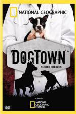Watch National Geographic DogTown Nowvideo