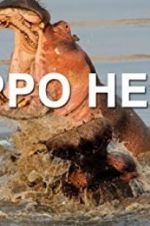 Watch Hippo Hell Nowvideo