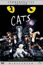 Watch Great Performances Cats Nowvideo