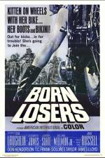 Watch The Born Losers Nowvideo