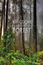 Watch National Geographic Kingdom of the Forest Nowvideo