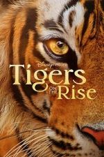 Watch Tigers on the Rise Nowvideo