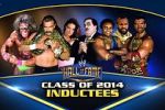 Watch WWE Hall of Fame Nowvideo